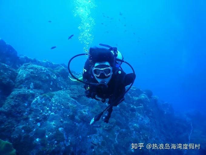 救援青龙