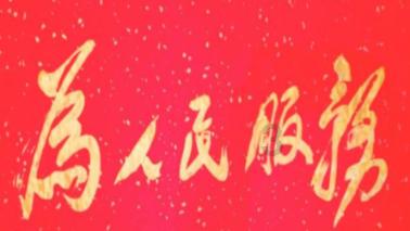小猪仔要回家